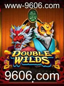 Explorando o Mundo de DoubleWilds: Regras e Estratégias